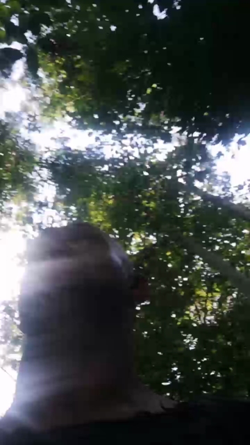 danskarsgard1  02-09-2021 Recorded Video Download